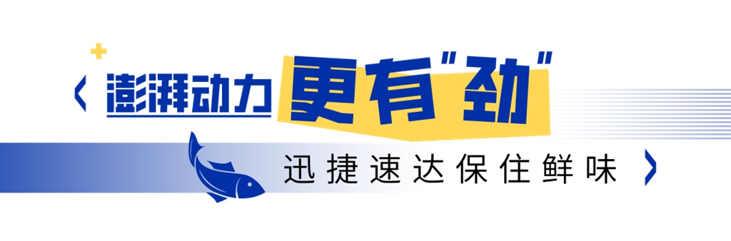 千岛湖的“鲜”味速递，新KV600的活鱼运输高效之道