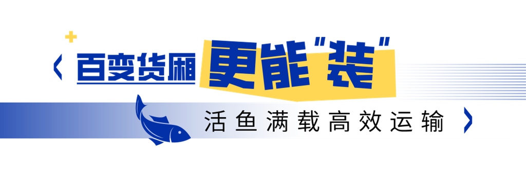 千岛湖的“鲜”味速递，新KV600的活鱼运输高效之道