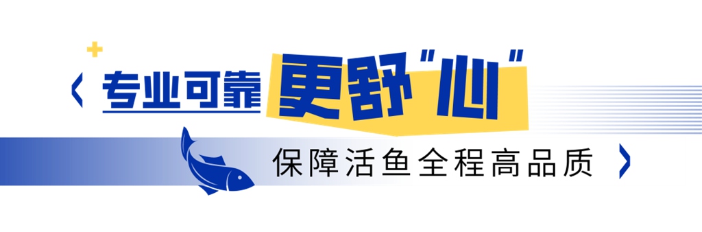 千岛湖的“鲜”味速递，新KV600的活鱼运输高效之道